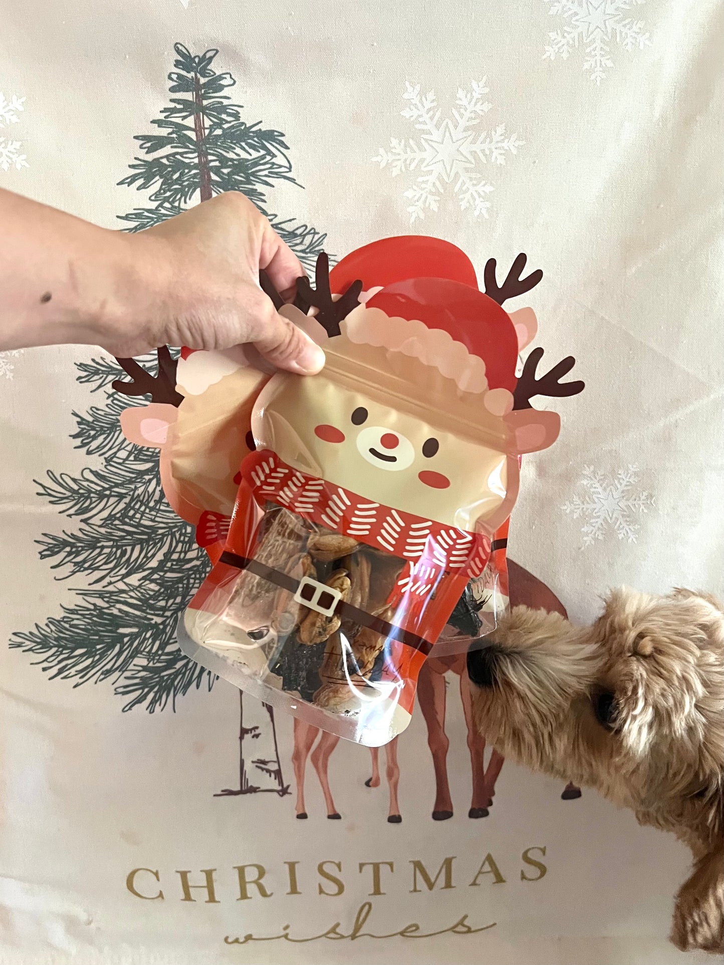 Christmas Variety Treat Pack