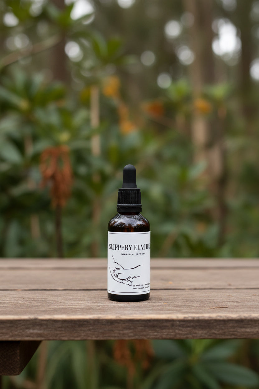 Slippery Elm Bark 50ml