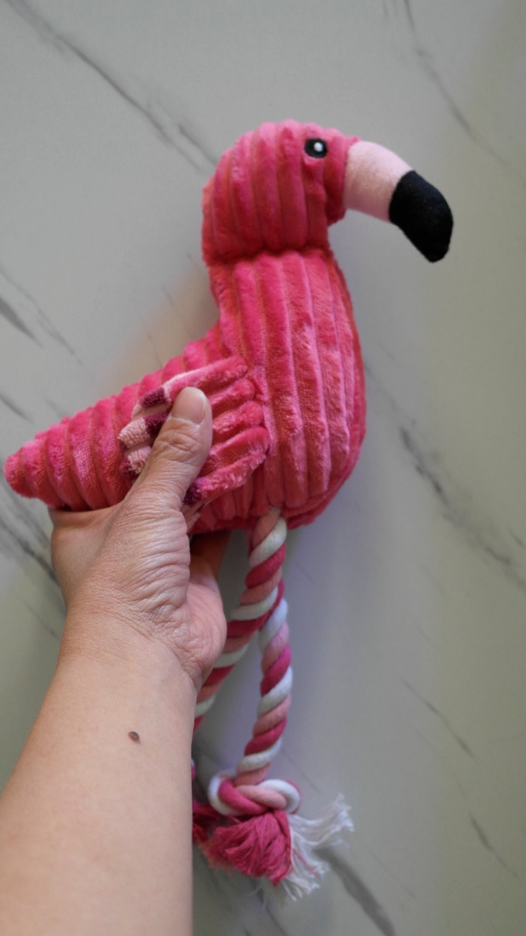 Corduroy Flamingo