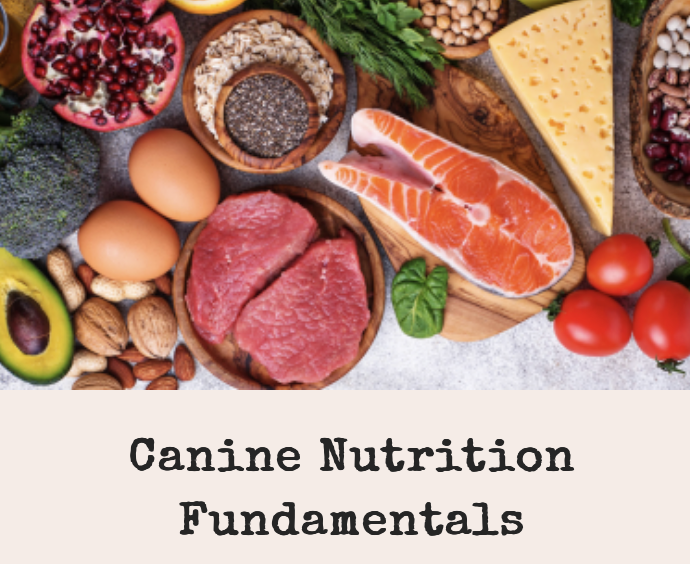 Bundle Deal + Free Course ( Limited Stock)