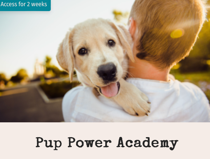 Puppy Nutrition (Pup Power Academy)