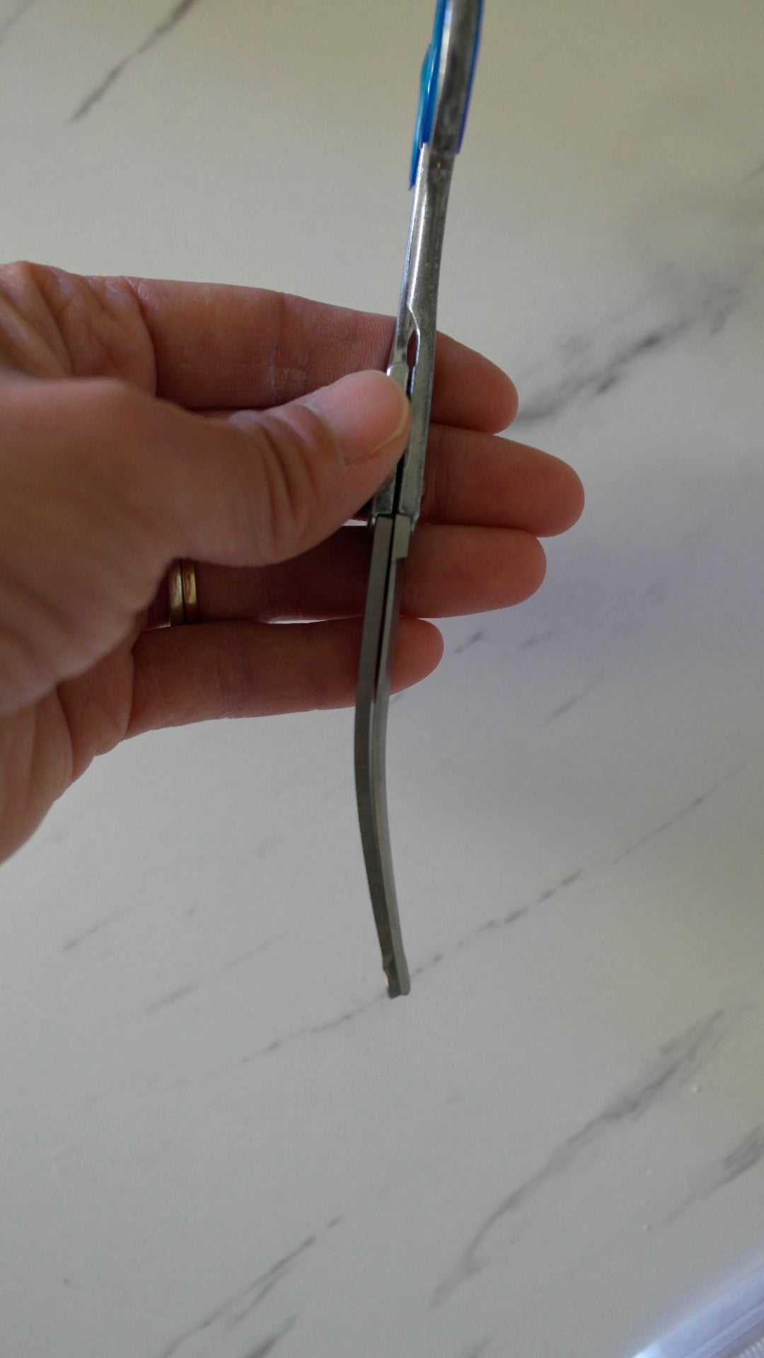 FREE TODAY ONLY | Grooming Curved Scissors