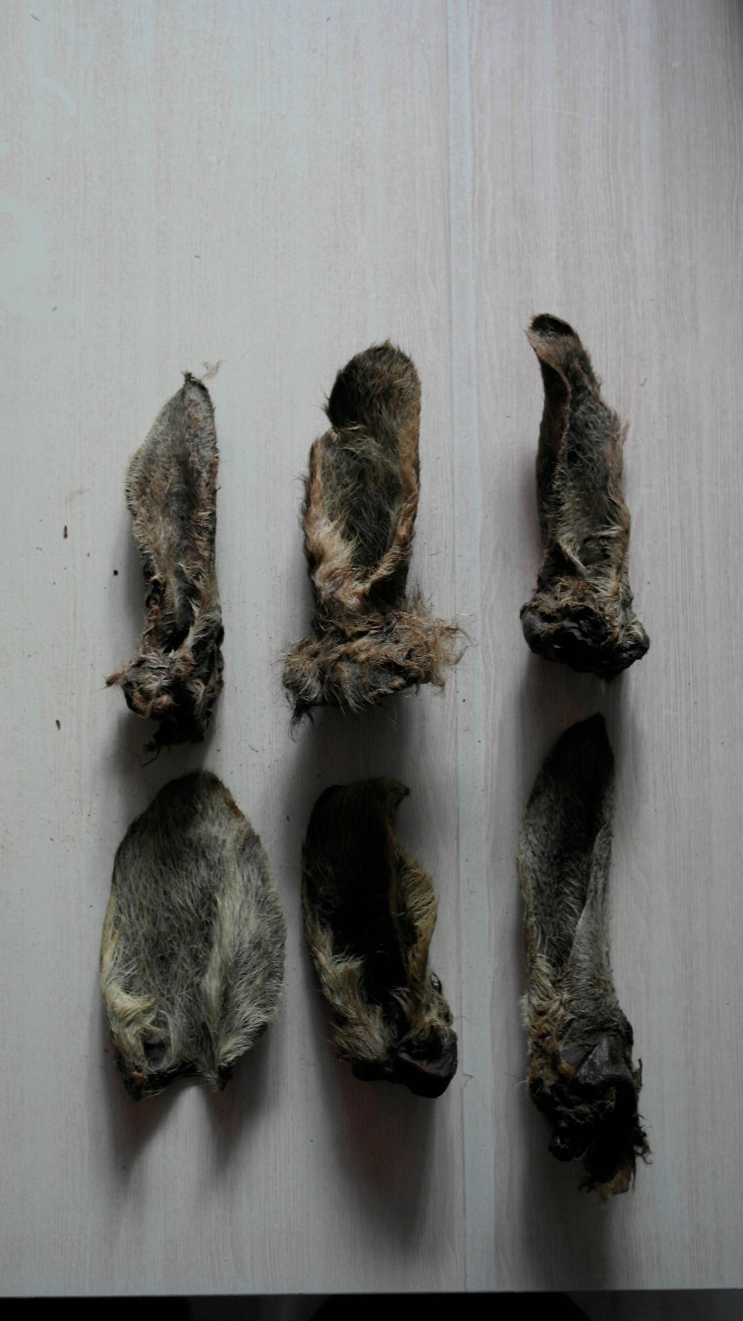 Biggie’s Furry Roo Ears ( 6 pieces)