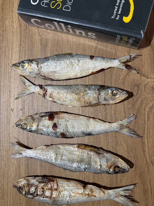 Restocked WA Sardines (Large)  150g