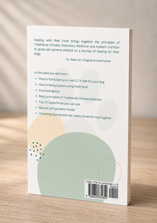 Healing with Real Food Guide Book