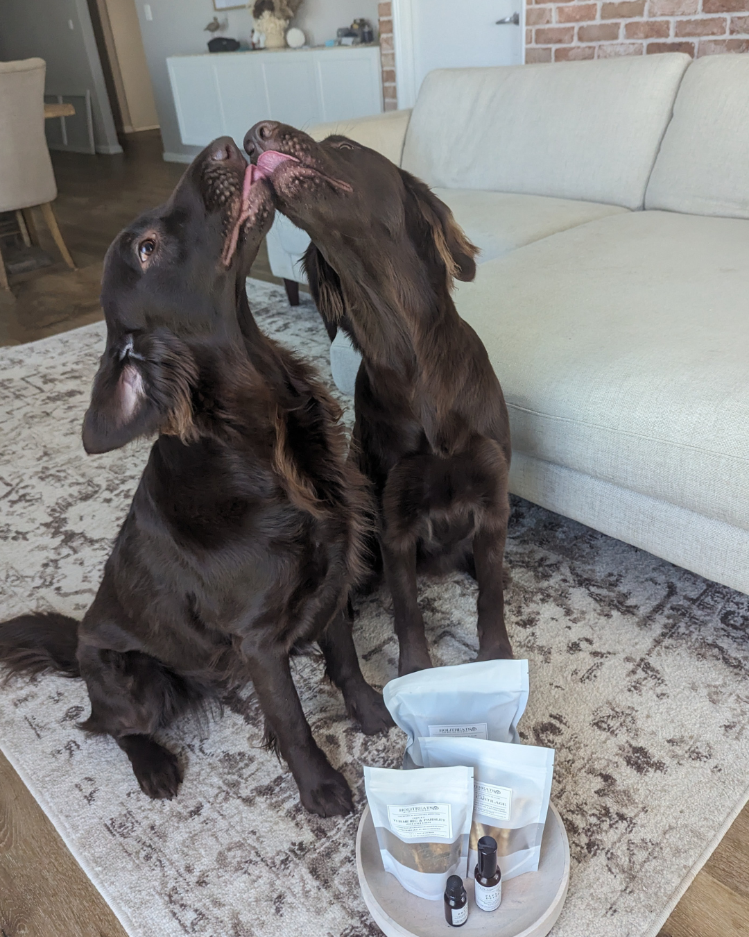 Dental Treat Mix Pack ( REVAMPED)