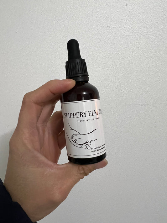 Slippery Elm Bark 50ml