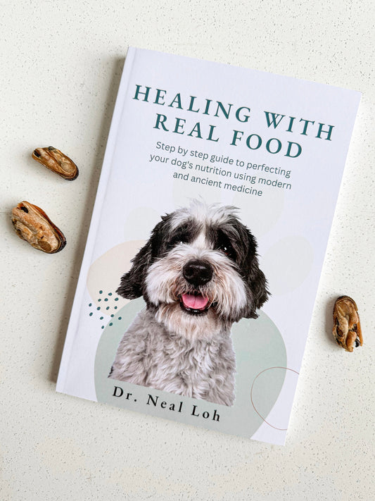 Healing with Real Food Guide Book