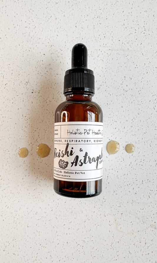 Reishi and Astragalus Complex ( Immune, Respiratory, Kidney Tonic)