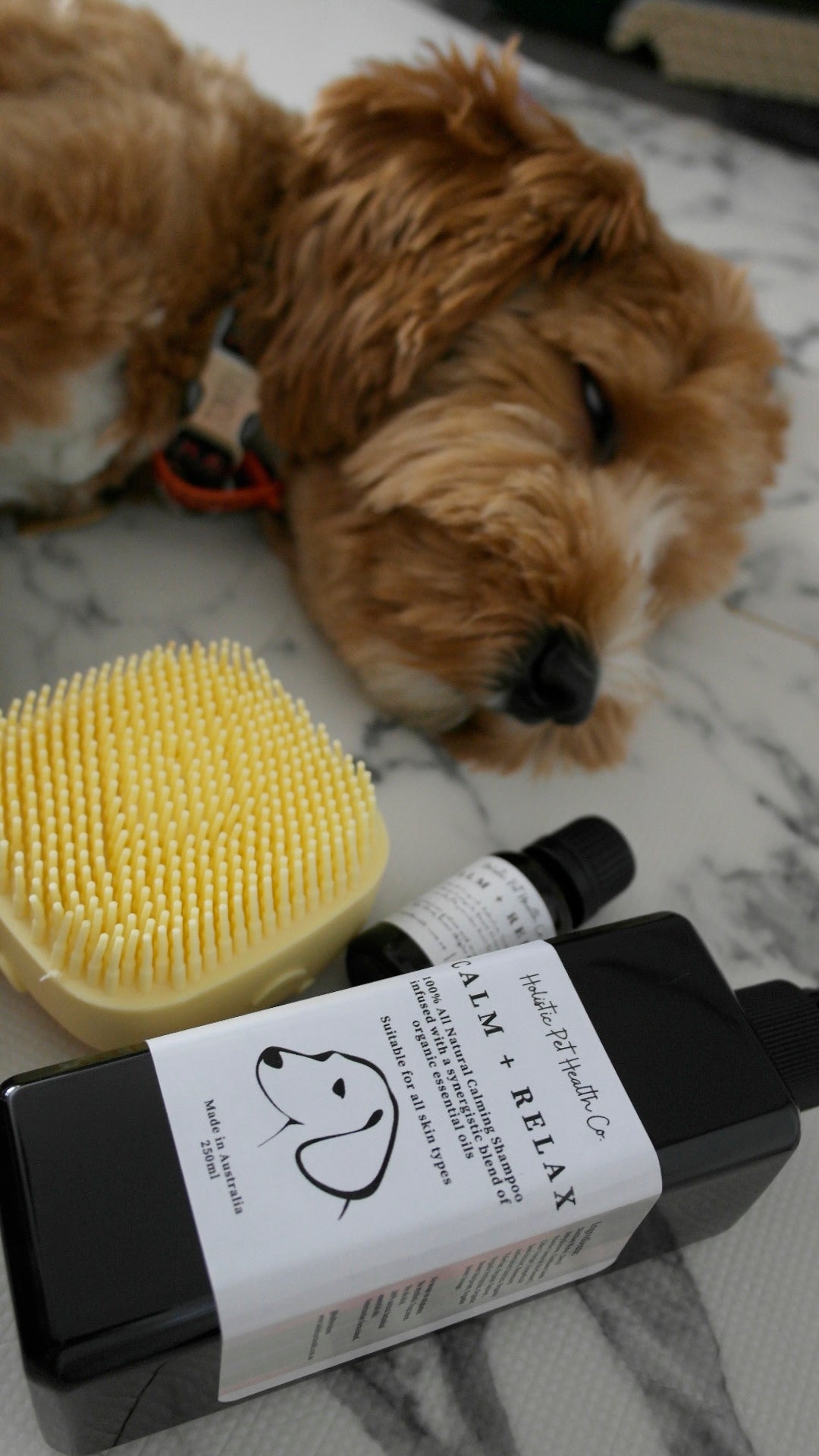 Calm + Relax Shampoo 250ml