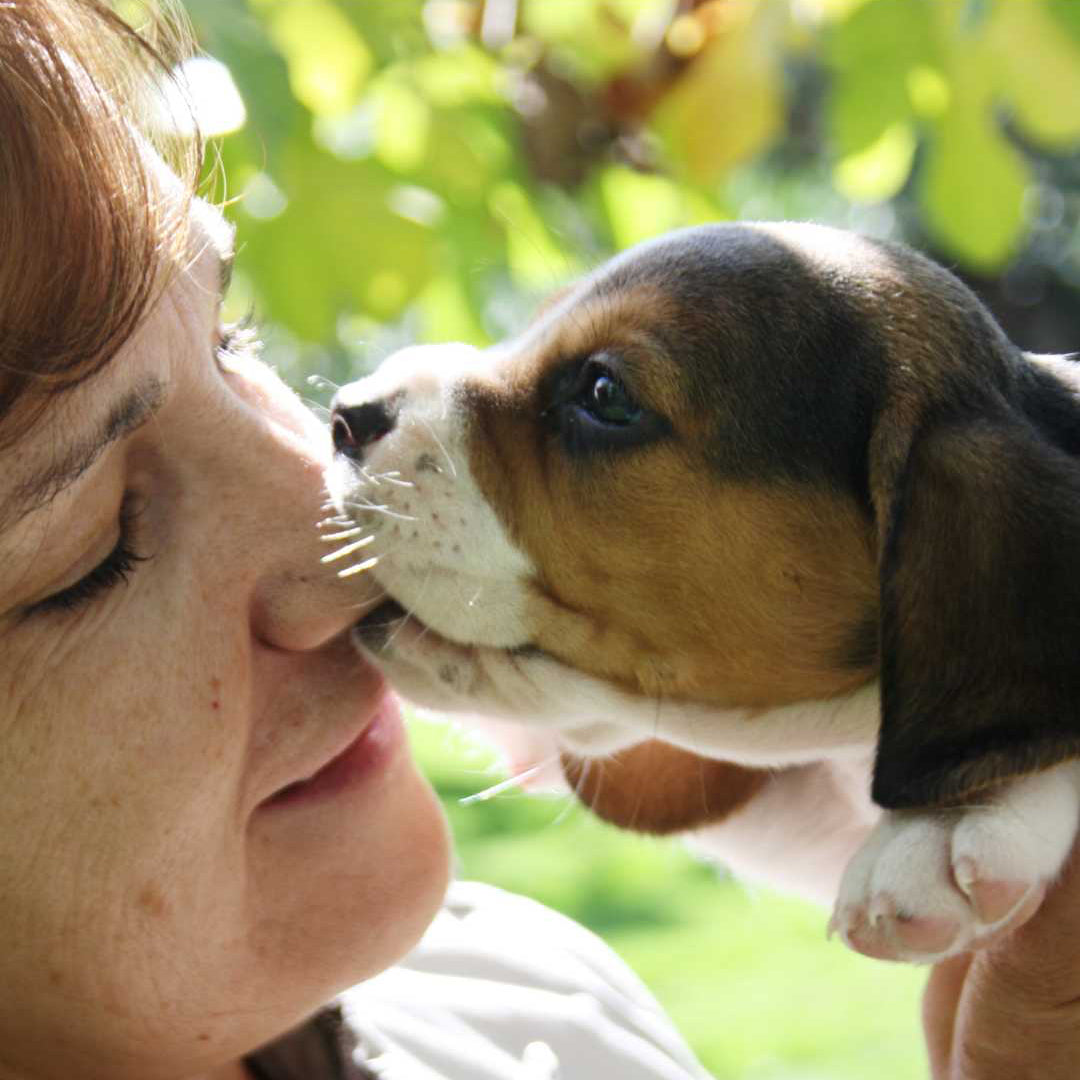 Person kissing a puppy on the nose with a blurred green background