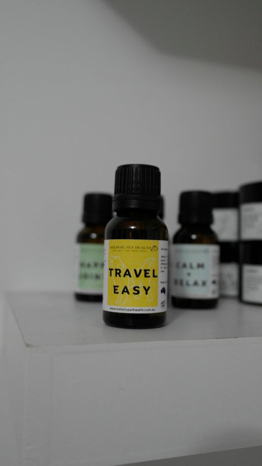Travel Easy Anti-Nausea Natural Remedy 15ml