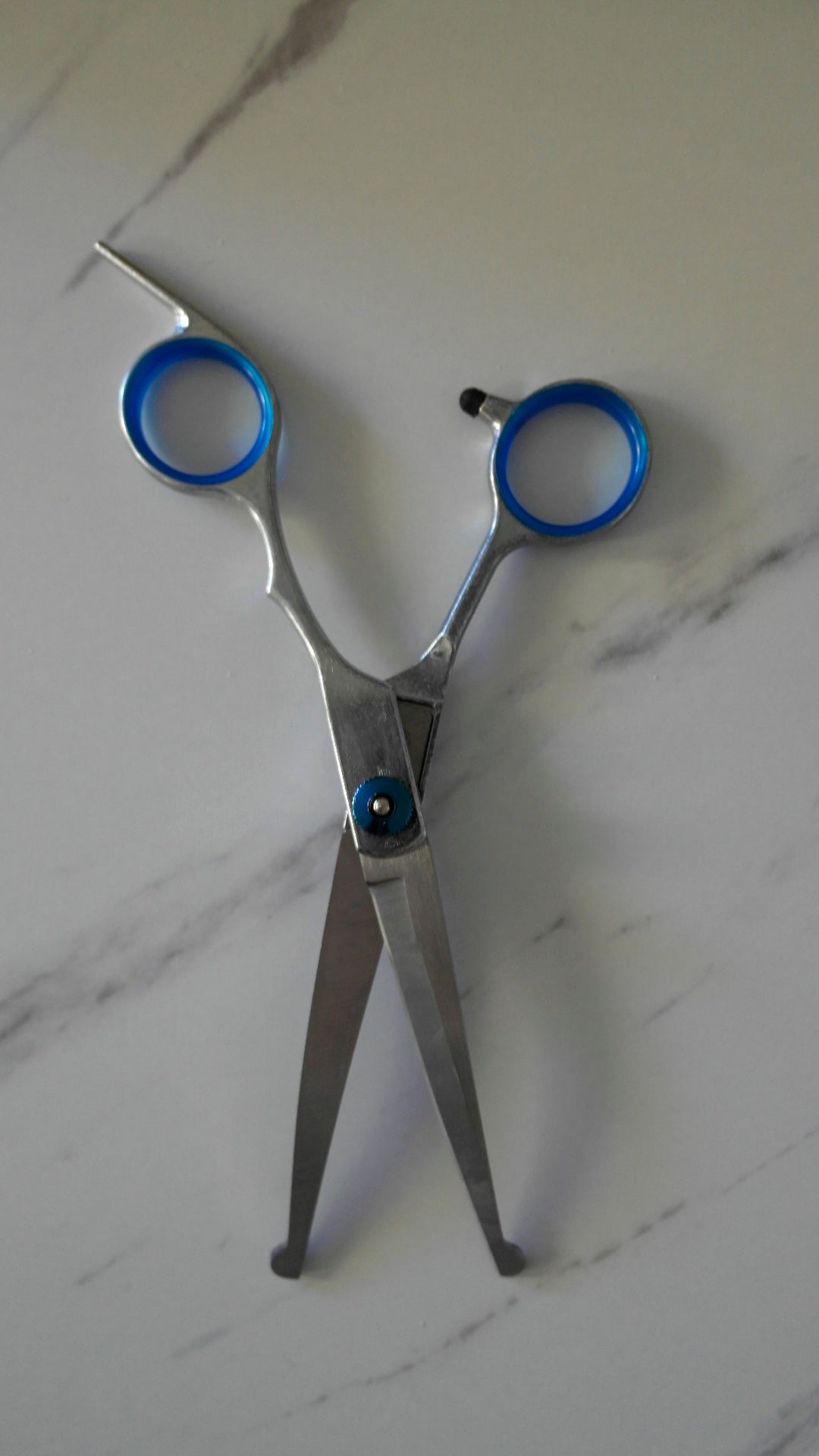 FREE TODAY ONLY | Grooming Curved Scissors