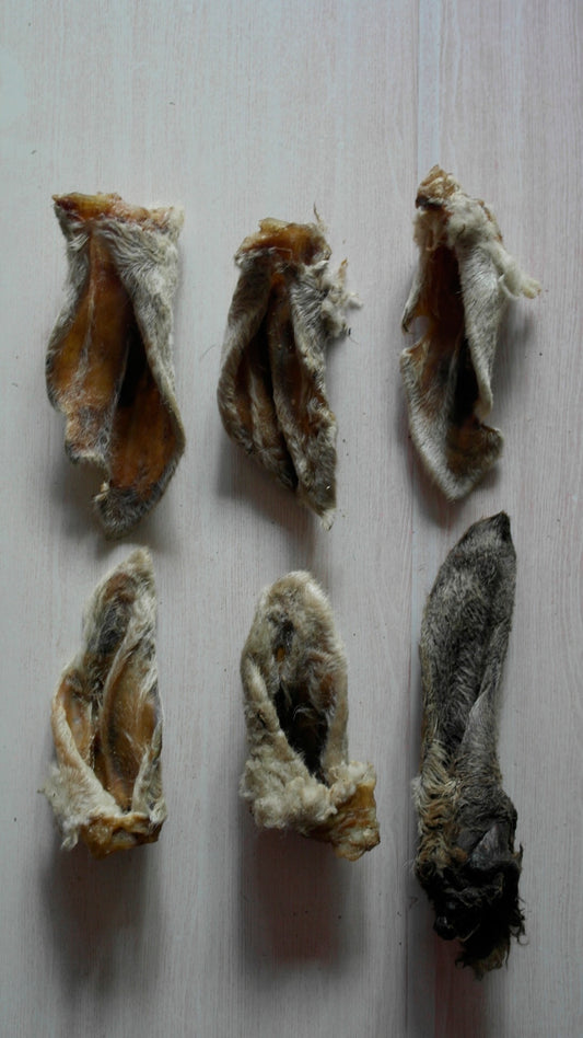 Furry Lamb Ears ( 6 pieces)