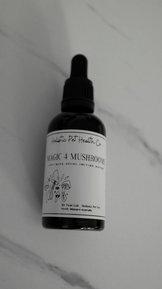 Immunity, Digestive, Anti-cancer | Magic 4 Mushrooms