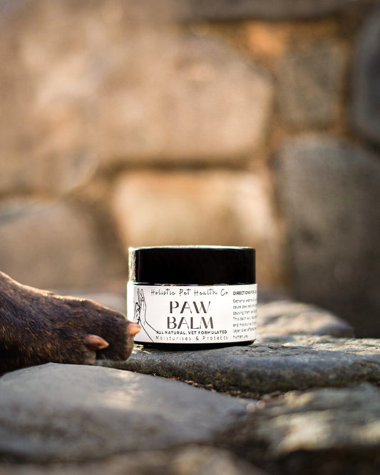 Natural Healing Paw Balm 25ml ( Paw, snoots & elbows)