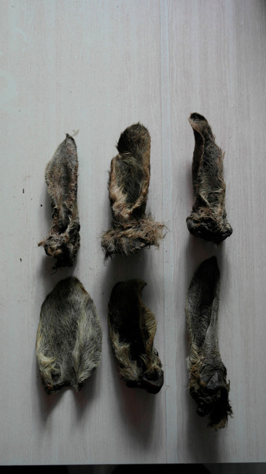 Biggie’s Furry Roo Ears ( 6 pieces)