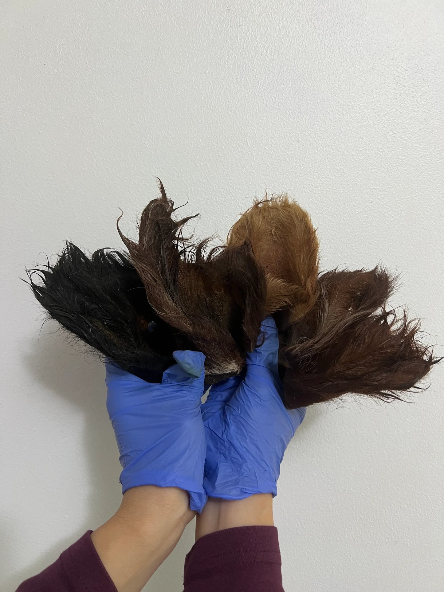 Furry Cow Ears