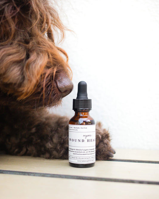 Natural Wound Healing First Aid for Dogs 25/50ml